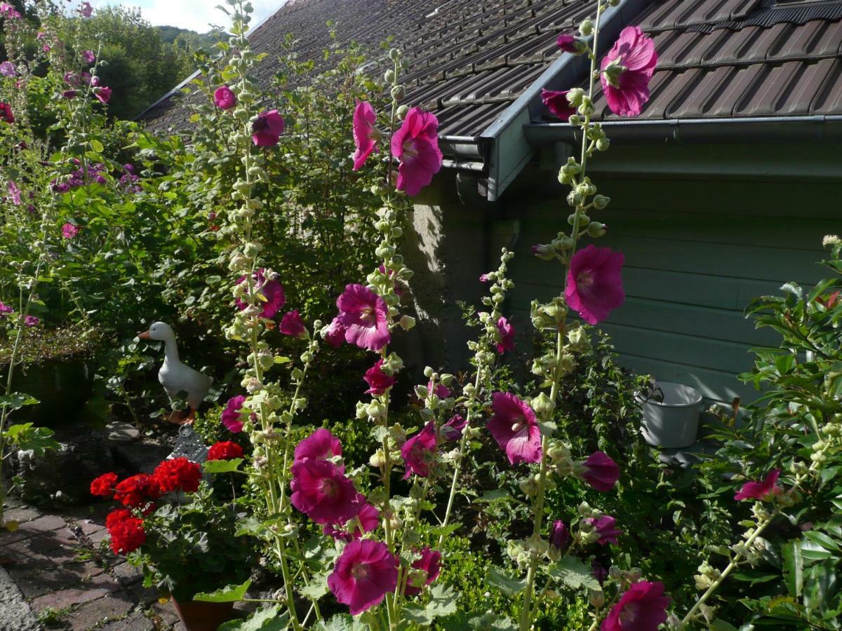 Roulotte La Dominique Bed and Breakfast Romery  Eksteriør billede